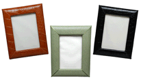 Leather Reptile 4" x 6" Photo Frames