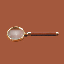 Tan Leather Magnifier
